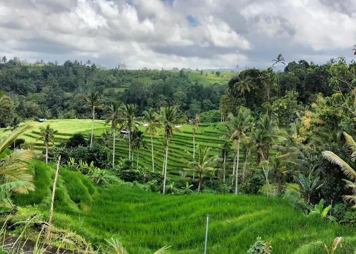 Magical Breeze * Angsri